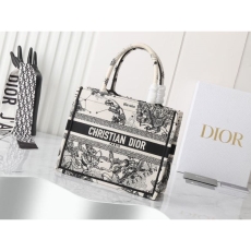 Christian Dior Shopping Bags